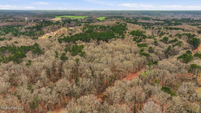 1407 Monterey Road, Florence, MS 39073