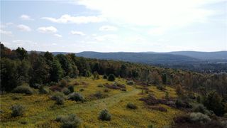 Sisson Hill Rd, Unadilla, NY 13849