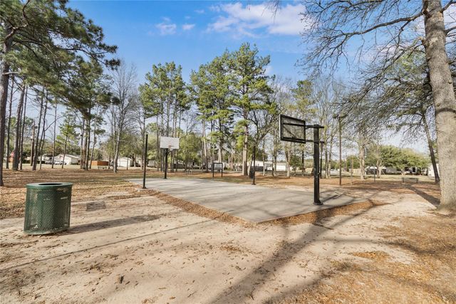 16461 Hill Country Drive, Conroe, TX 77302