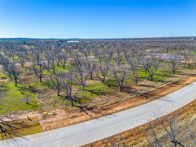 1437 Cirrus Loop, Granbury, TX 76049
