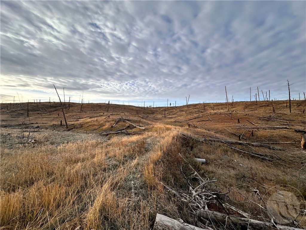 TBD Buckskin ROAD, Roundup, MT 59072 photo
