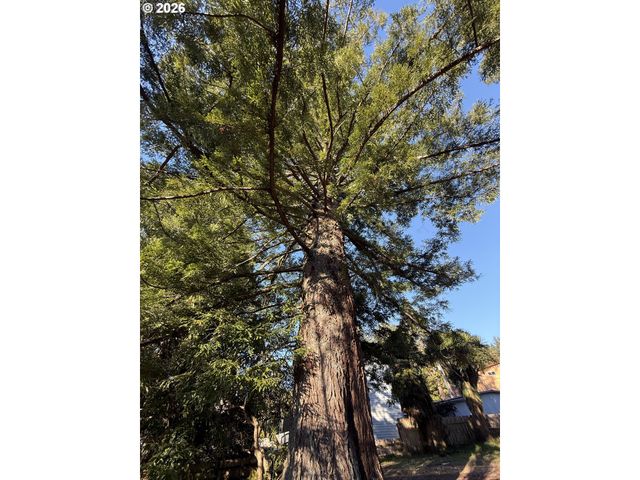 16947 PARKVIEW Dr, Brookings, OR 97415