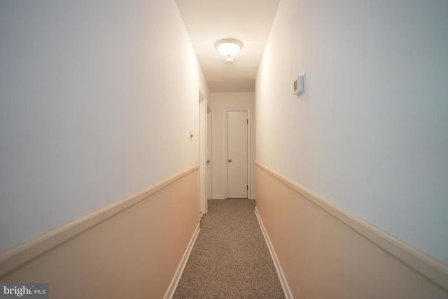 19 CORNELL, Fortescue, NJ 08321