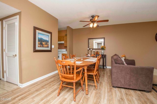 205 Ogle Drive, Pigeon Forge, TN 37863