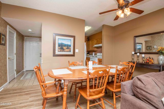 205 Ogle Drive, Pigeon Forge, TN 37863