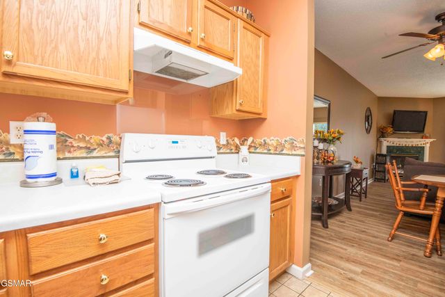 205 Ogle Drive, Pigeon Forge, TN 37863