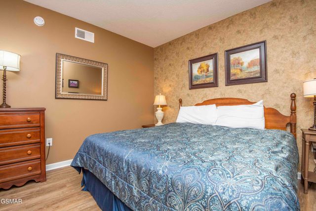 205 Ogle Drive, Pigeon Forge, TN 37863