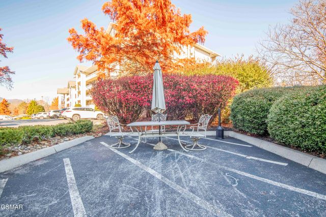 205 Ogle Drive, Pigeon Forge, TN 37863