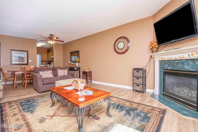 205 Ogle Drive, Pigeon Forge, TN 37863