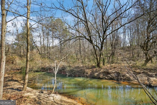 424 Delane Drive, Dallas, GA 30157