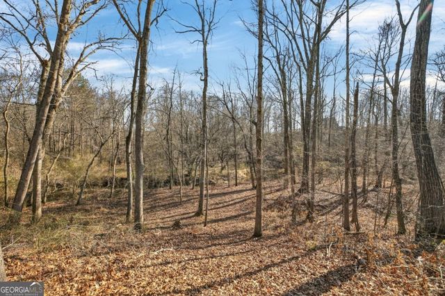 424 Delane Drive, Dallas, GA 30157