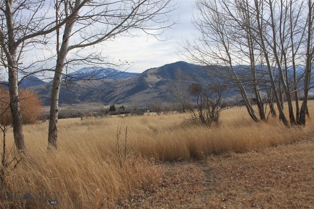 130 Parrot Castle Road, Whitehall, MT 59759 property photo