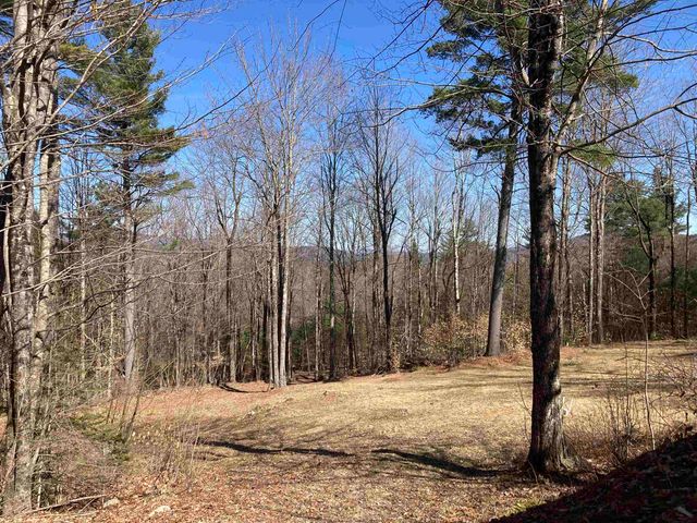 130 Kinsman Road, Grafton, NH 03240