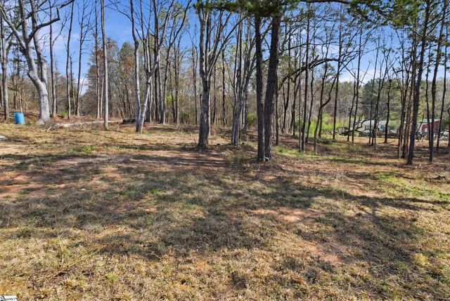 1274 Martins Lake Road, Gray Court, SC 29645
