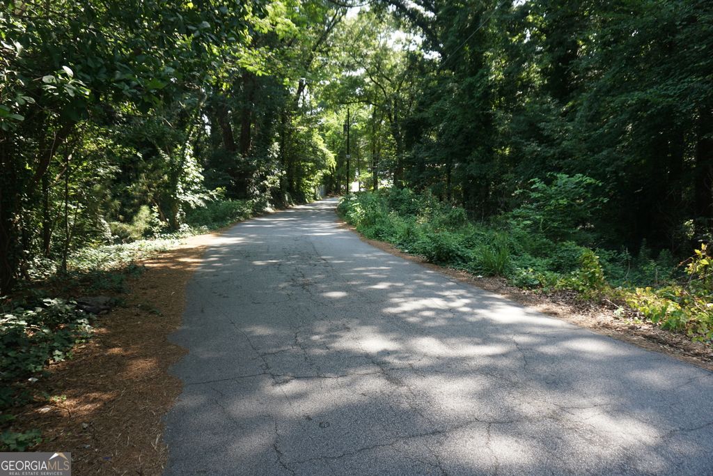 1821 Mary George Avenue, Atlanta, GA 30318