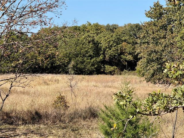 TBD Big Tree Road, Montague, TX 76251