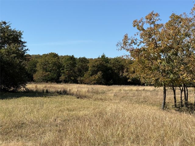 TBD Big Tree Road, Montague, TX 76251
