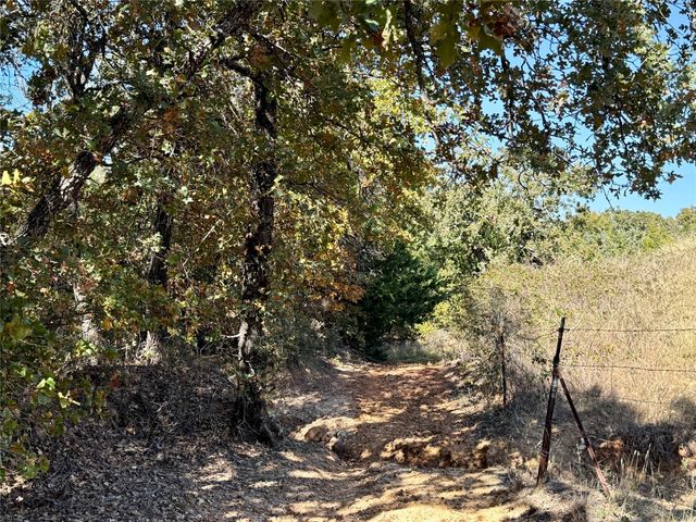 TBD Big Tree Road, Montague, TX 76251