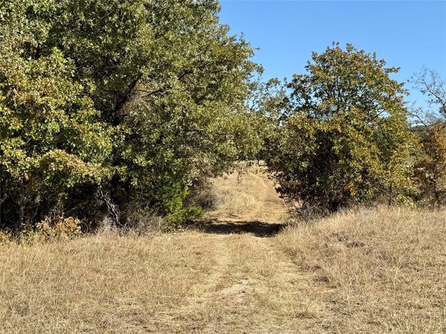 TBD Big Tree Road, Montague, TX 76251