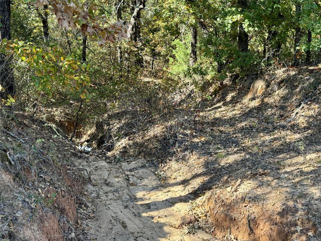 TBD Big Tree Road, Montague, TX 76251