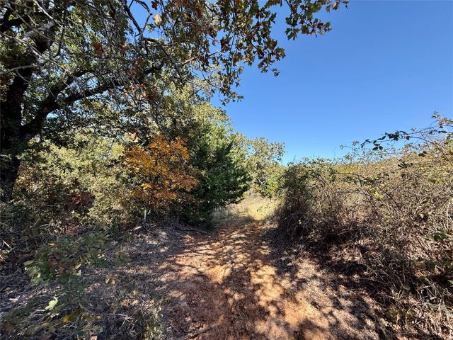 TBD Big Tree Road, Montague, TX 76251