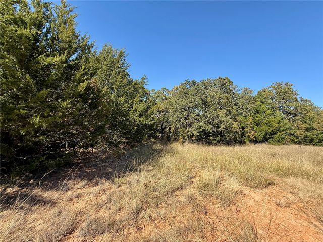 TBD Big Tree Road, Montague, TX 76251