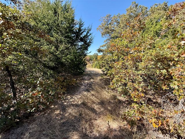 TBD Big Tree Road, Montague, TX 76251