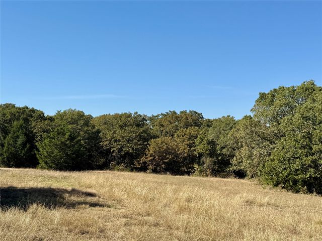 TBD Big Tree Road, Montague, TX 76251