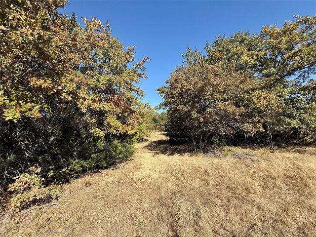 TBD Big Tree Road, Montague, TX 76251