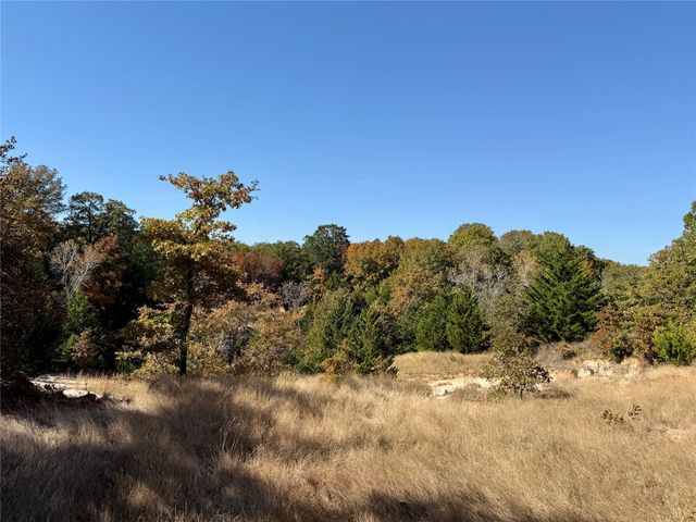 TBD Big Tree Road, Montague, TX 76251