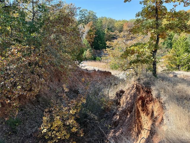 TBD Big Tree Road, Montague, TX 76251