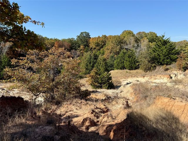 TBD Big Tree Road, Montague, TX 76251