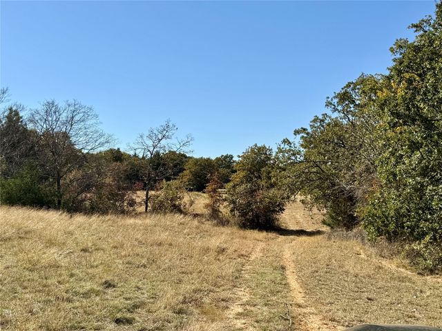 TBD Big Tree Road, Montague, TX 76251