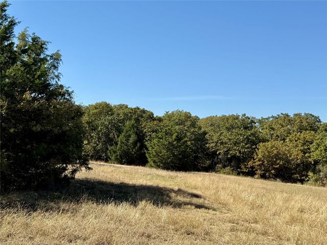 TBD Big Tree Road, Montague, TX 76251