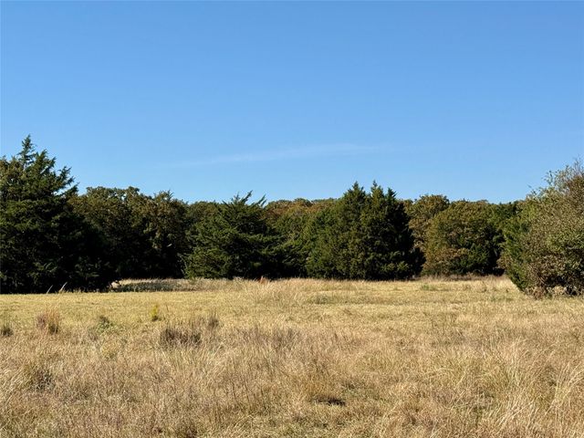 TBD Big Tree Road, Montague, TX 76251