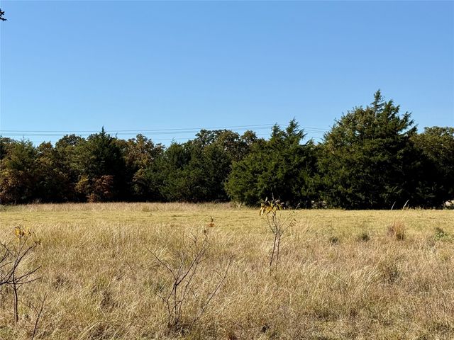 TBD Big Tree Road, Montague, TX 76251