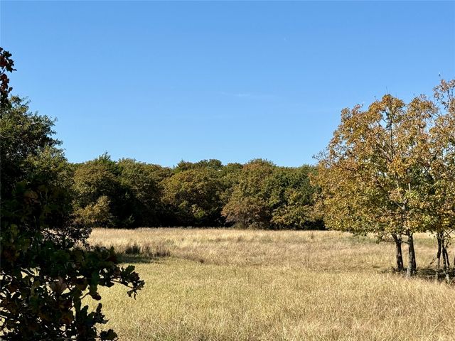 TBD Big Tree Road, Montague, TX 76251