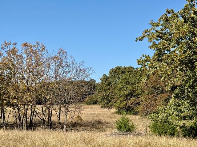 TBD Big Tree Road, Montague, TX 76251