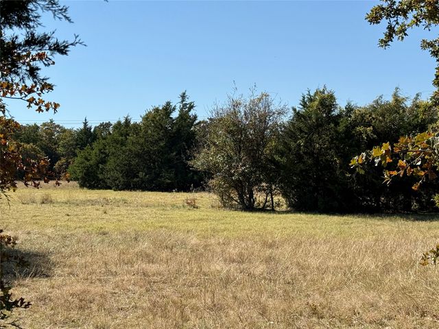 TBD Big Tree Road, Montague, TX 76251