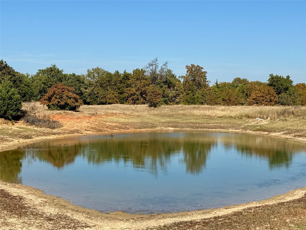 TBD Big Tree Road, Montague, TX 76251