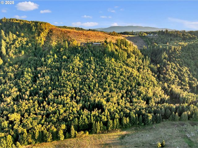 39904 Ne ROTSCHY Rd, Yacolt, WA 98675