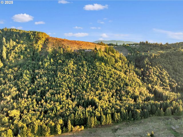 39904 Ne ROTSCHY Rd, Yacolt, WA 98675