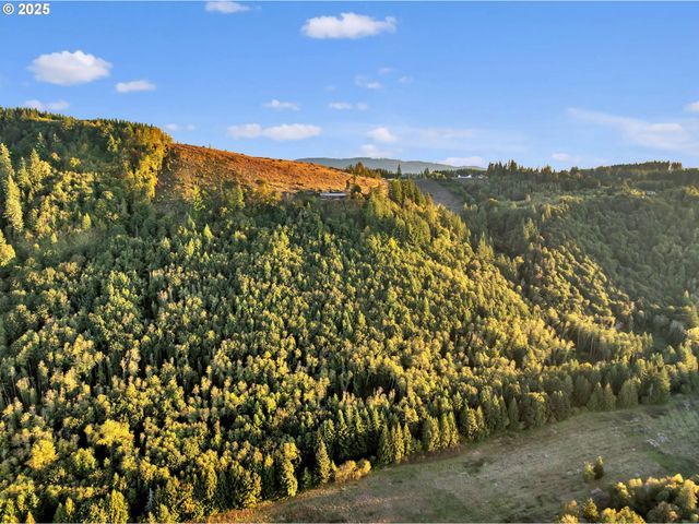 39904 Ne ROTSCHY Rd, Yacolt, WA 98675