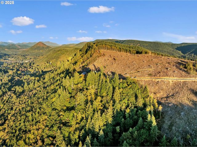 39904 Ne ROTSCHY Rd, Yacolt, WA 98675