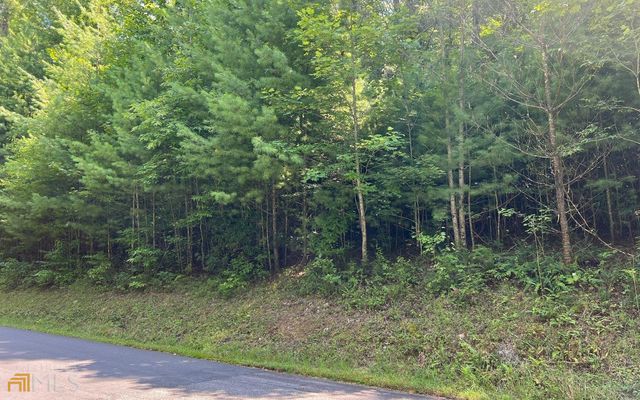 LOT 69 Fires Creek Cove, Hayesville, NC 28904