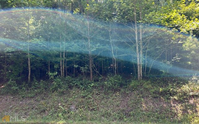 LOT 69 Fires Creek Cove, Hayesville, NC 28904