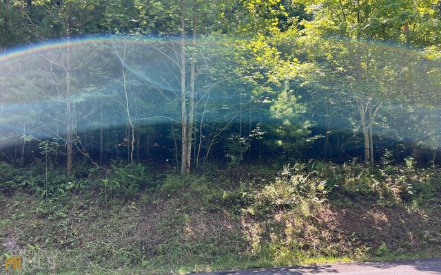 LOT 69 Fires Creek Cove, Hayesville, NC 28904