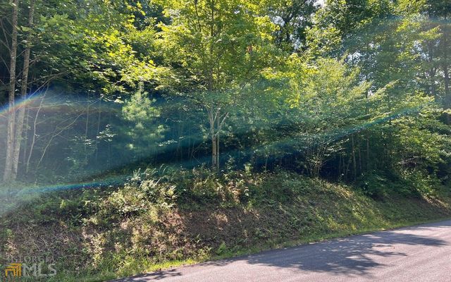 LOT 69 Fires Creek Cove, Hayesville, NC 28904
