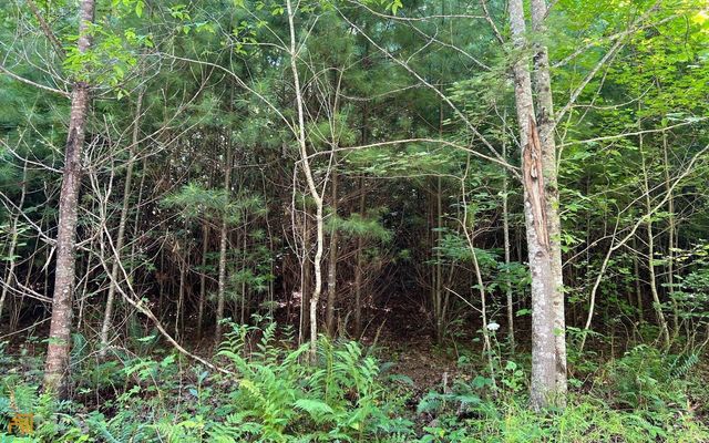LOT 69 Fires Creek Cove, Hayesville, NC 28904