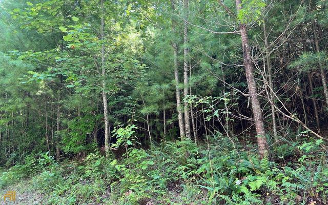 LOT 69 Fires Creek Cove, Hayesville, NC 28904